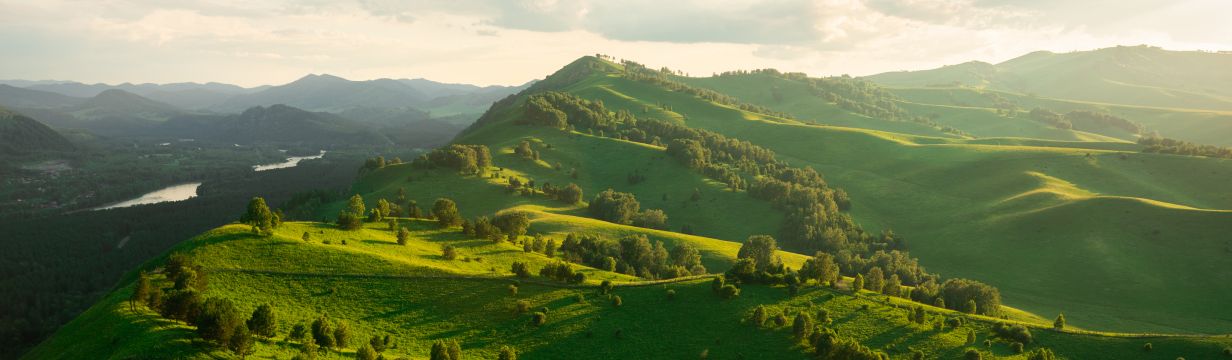 Туры в Алтайский край