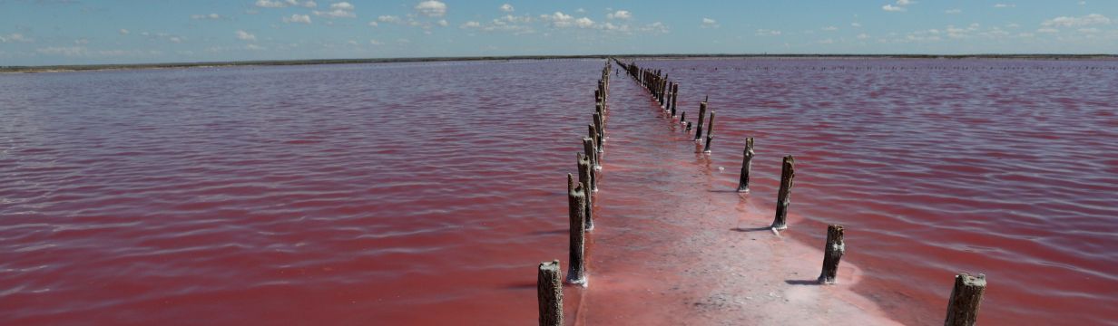 Туры в Евпаторию