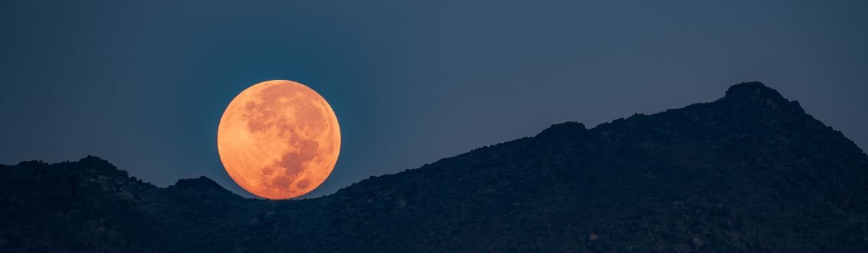 Туры в Шарджу