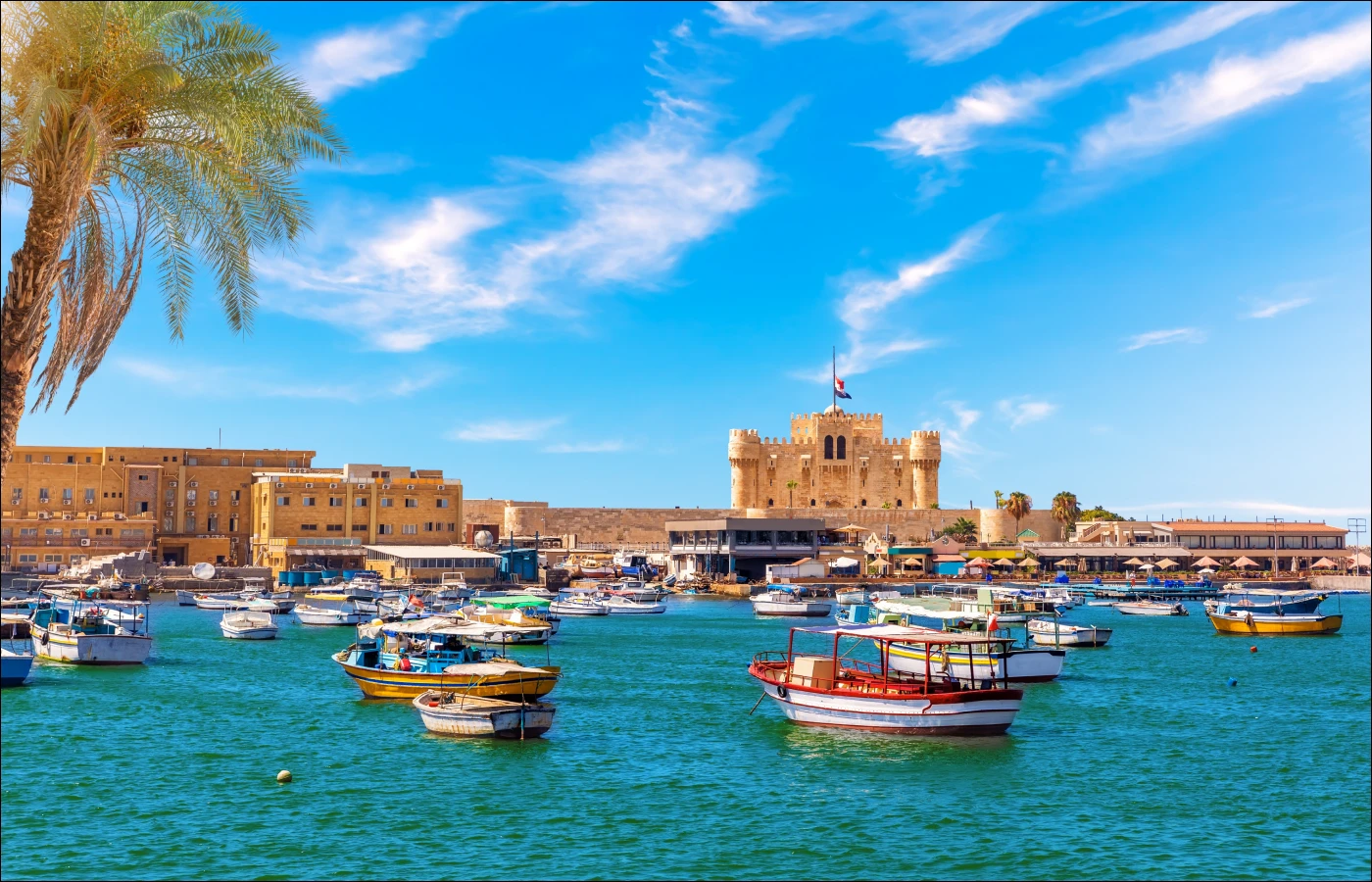 Туры в Александрию 2025