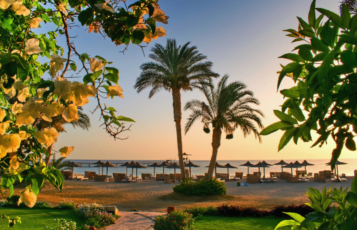 Туры в Марса Алам из Ижевска